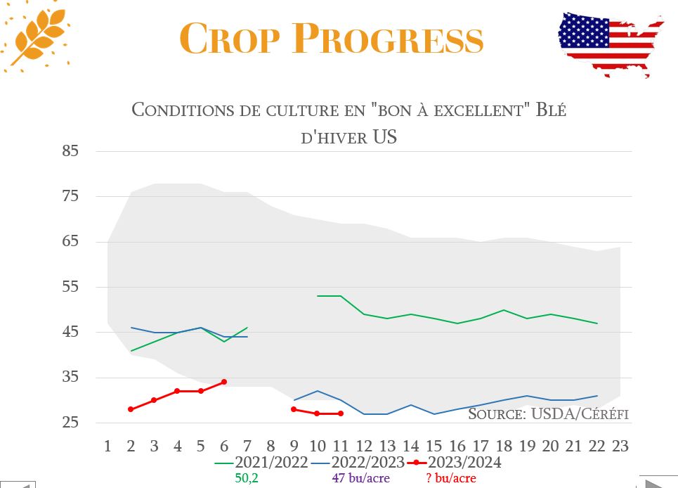 Blé – Crop Progress US