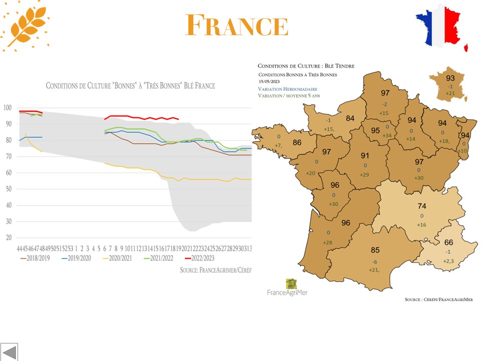 Crop Progress France