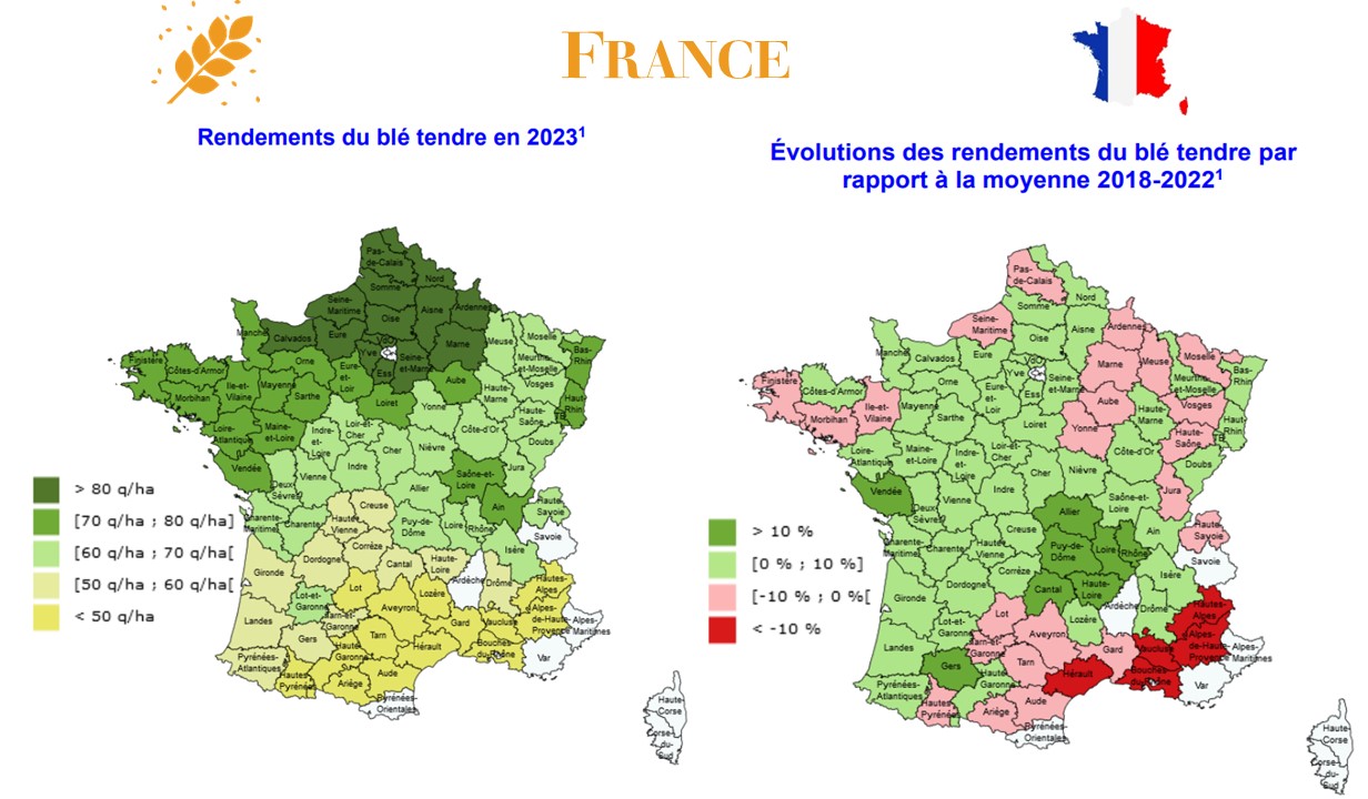 Rendements blé France