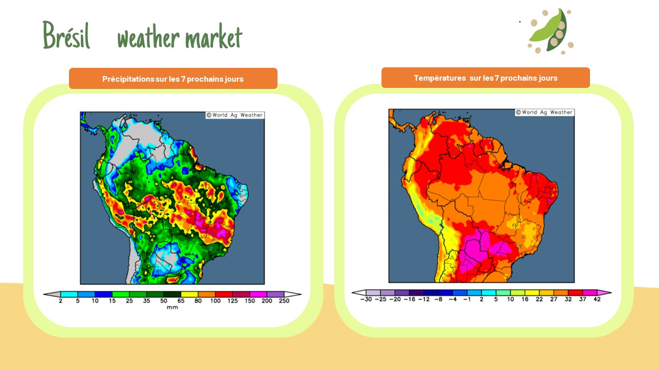 Brésil – Weather-Market