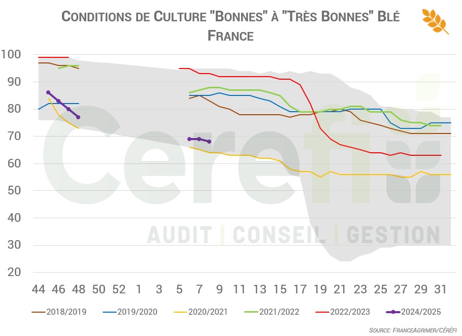 Blé Français: Conditions Critiques 2024