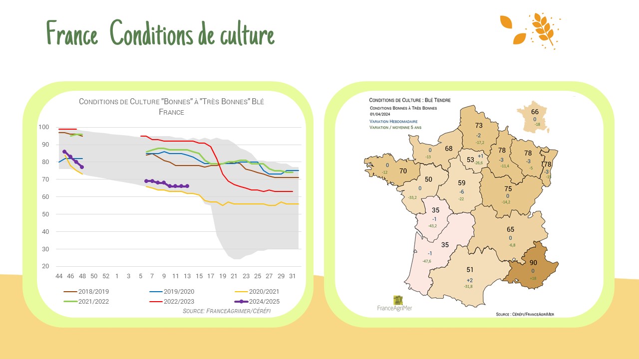 France – Conditions de culture