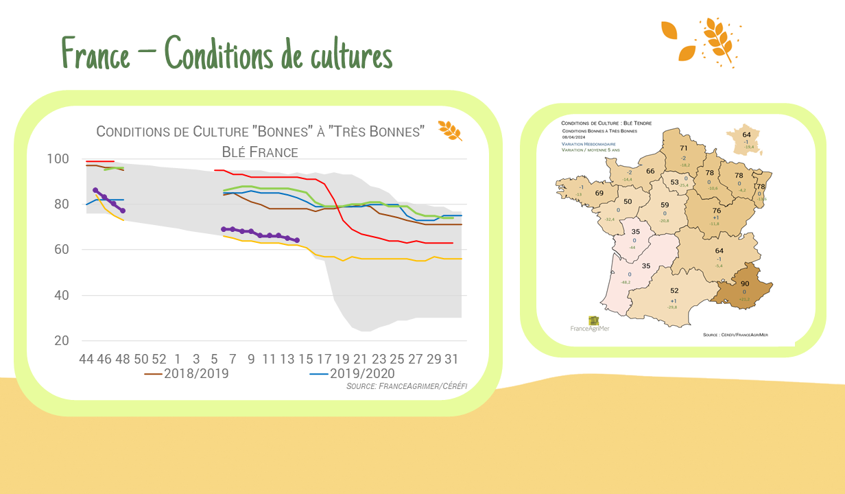 Condition de culture – France