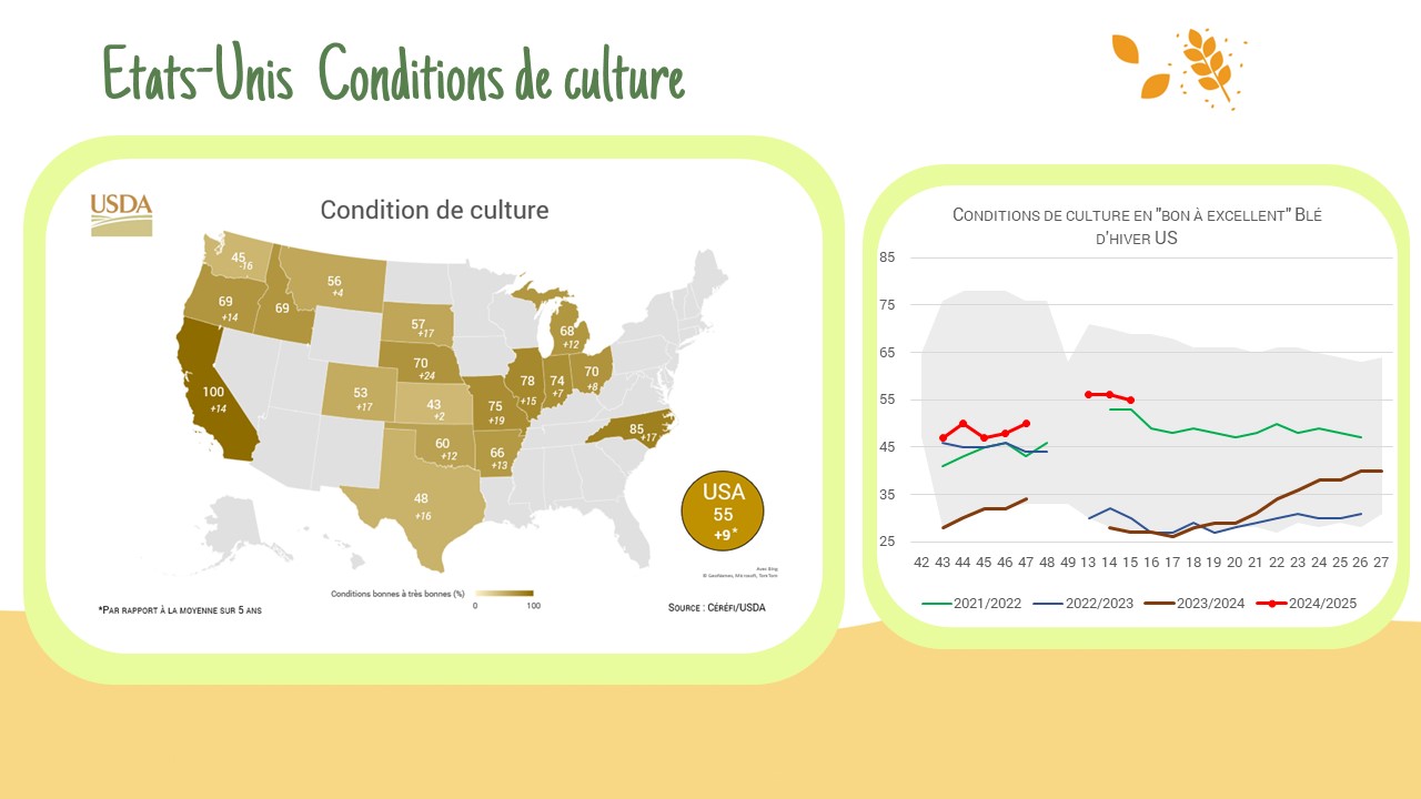 Etats-Unis : Conditions de culture + avancée des semis