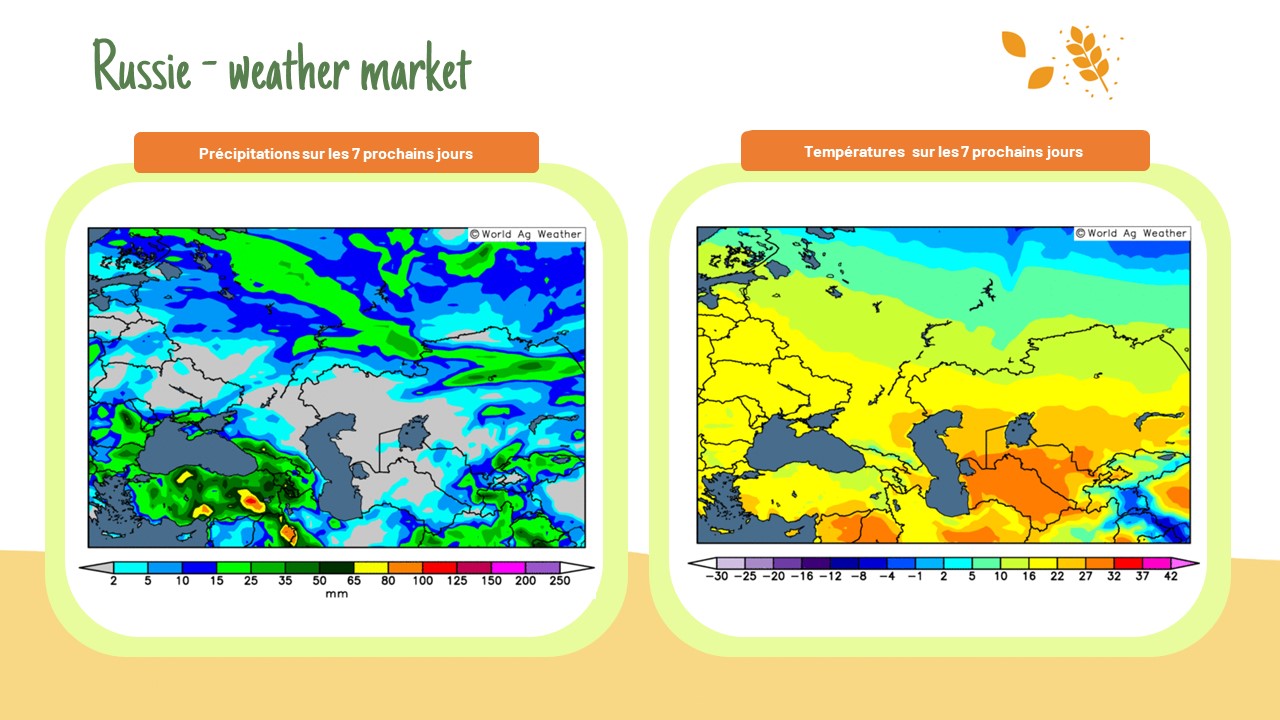 Weather market Russie