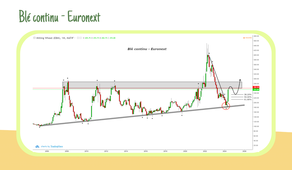 Blé continu – Euronext