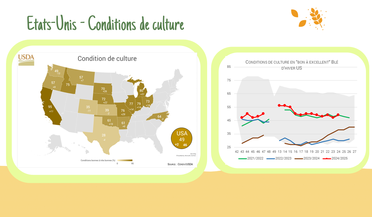 Condition de culture – US