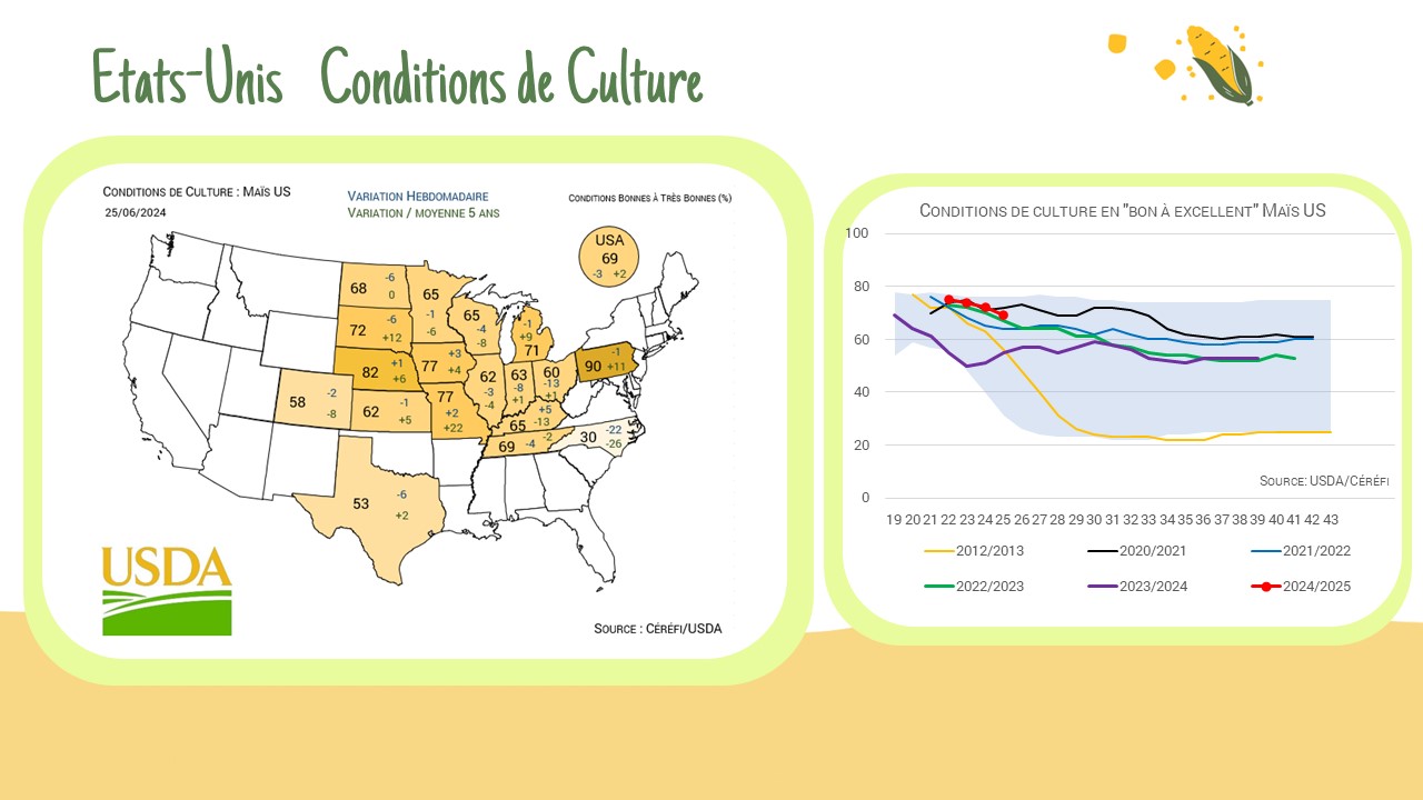 USA -> Conditions de culture