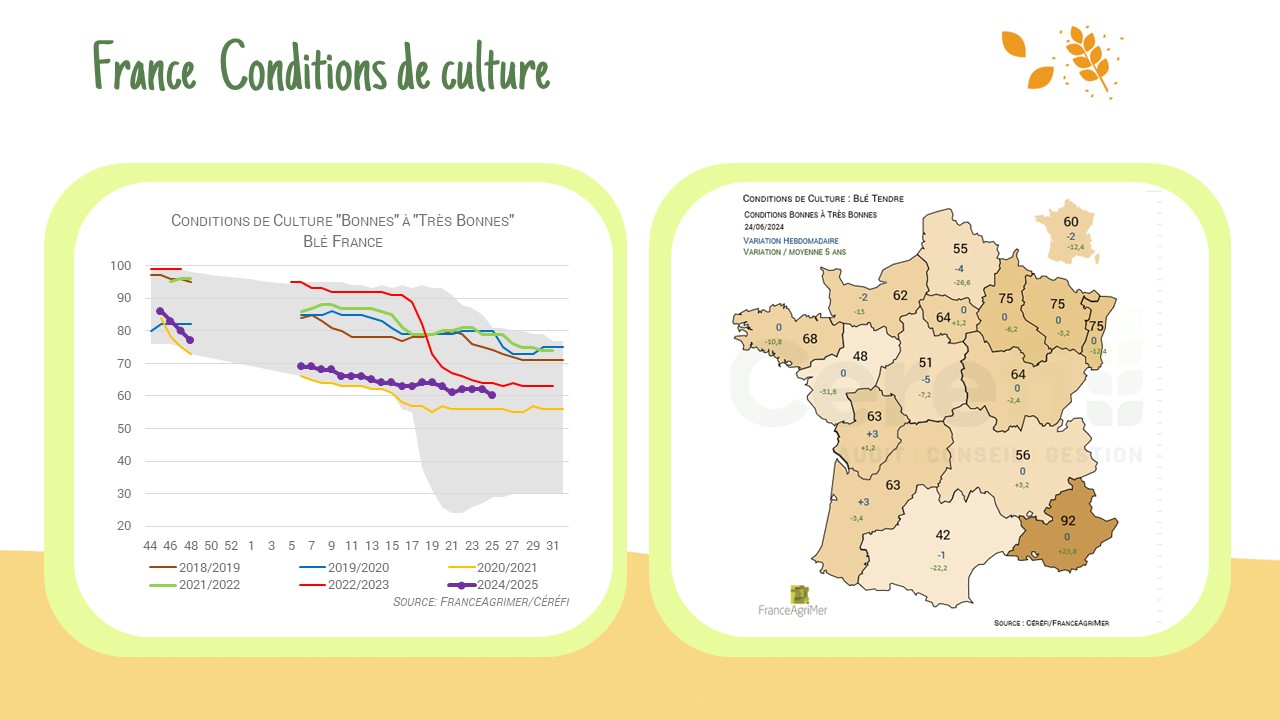 France – Conditions de culture du blé et du maïs