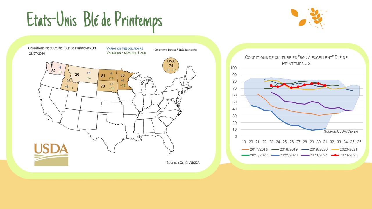 Conditions de culture et avancée des récoltes US