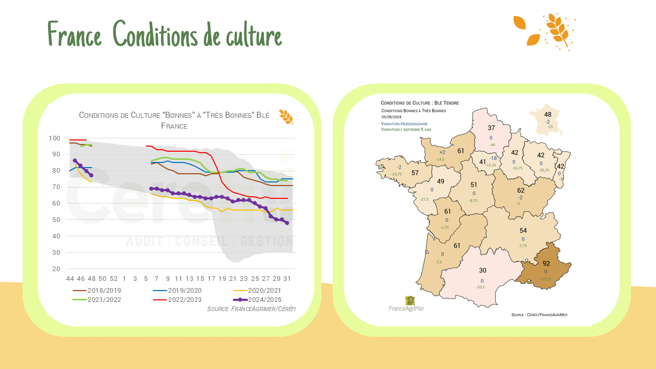 Condition de culture blé – France :