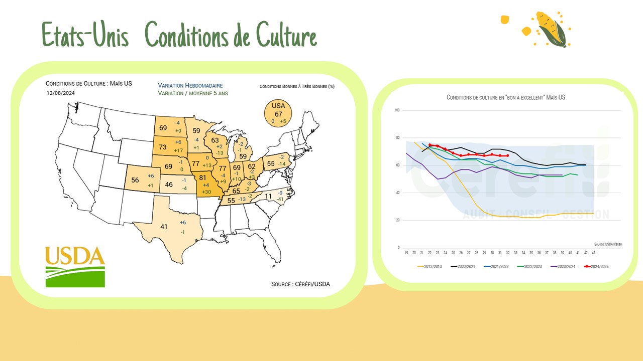 Conditions de culture US