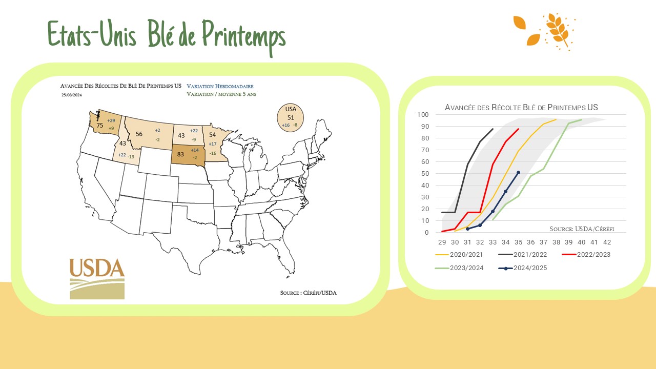 Avancée des récoltes US