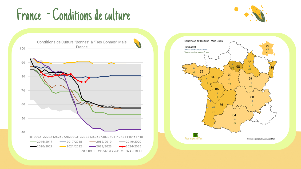 Condition de culture maïs – France :