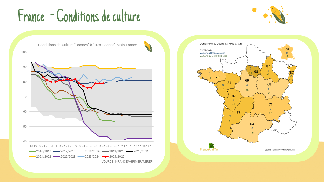 Condition de culture – France