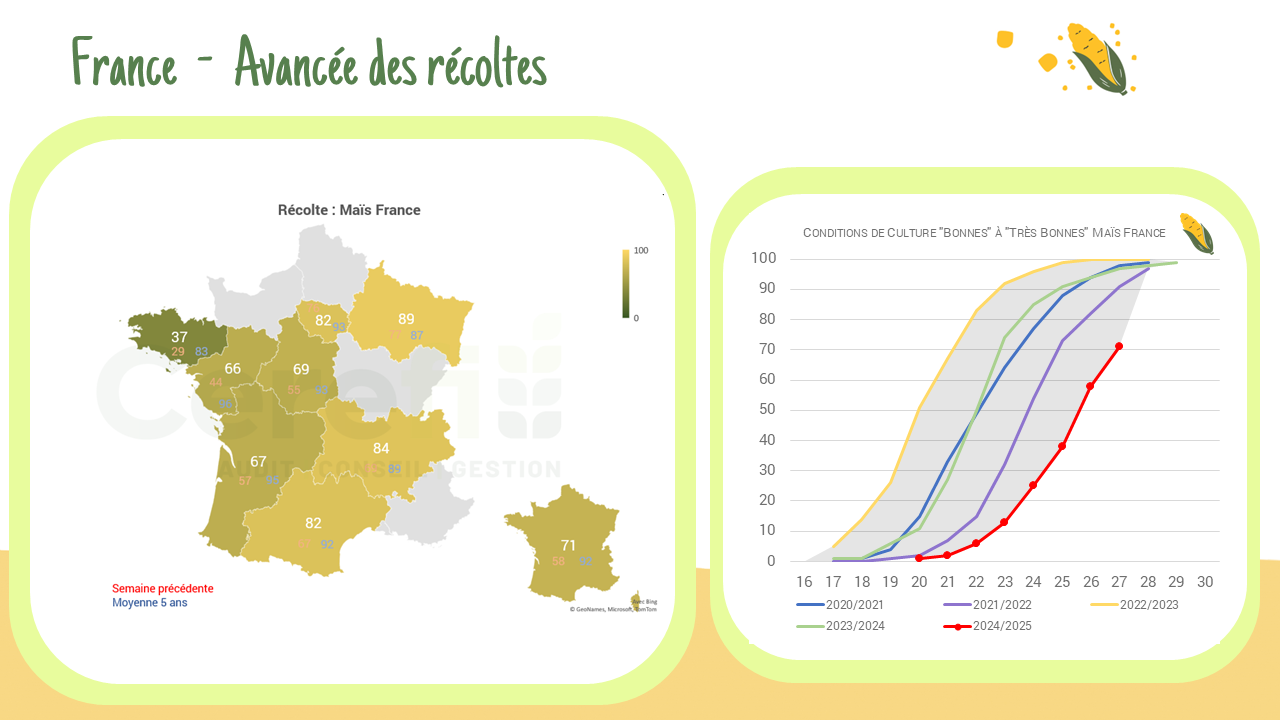 Récolte maïs – France