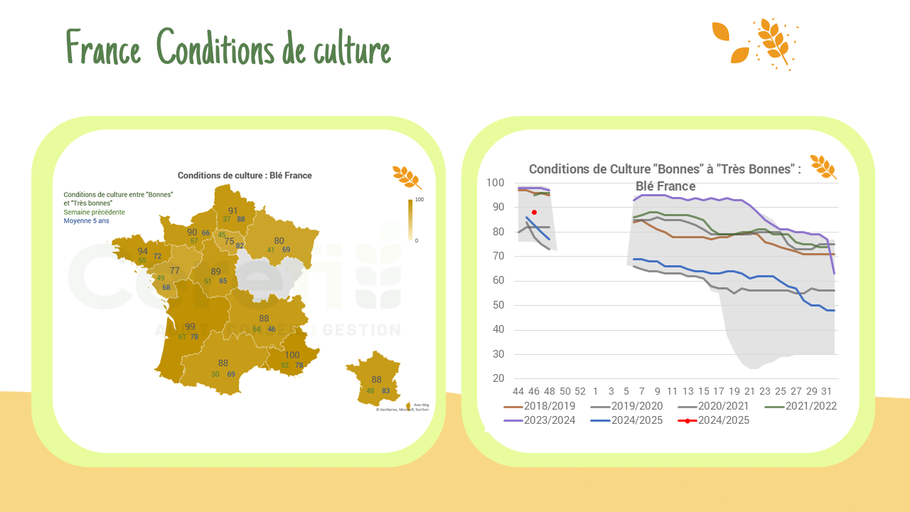 Situation Blé – France