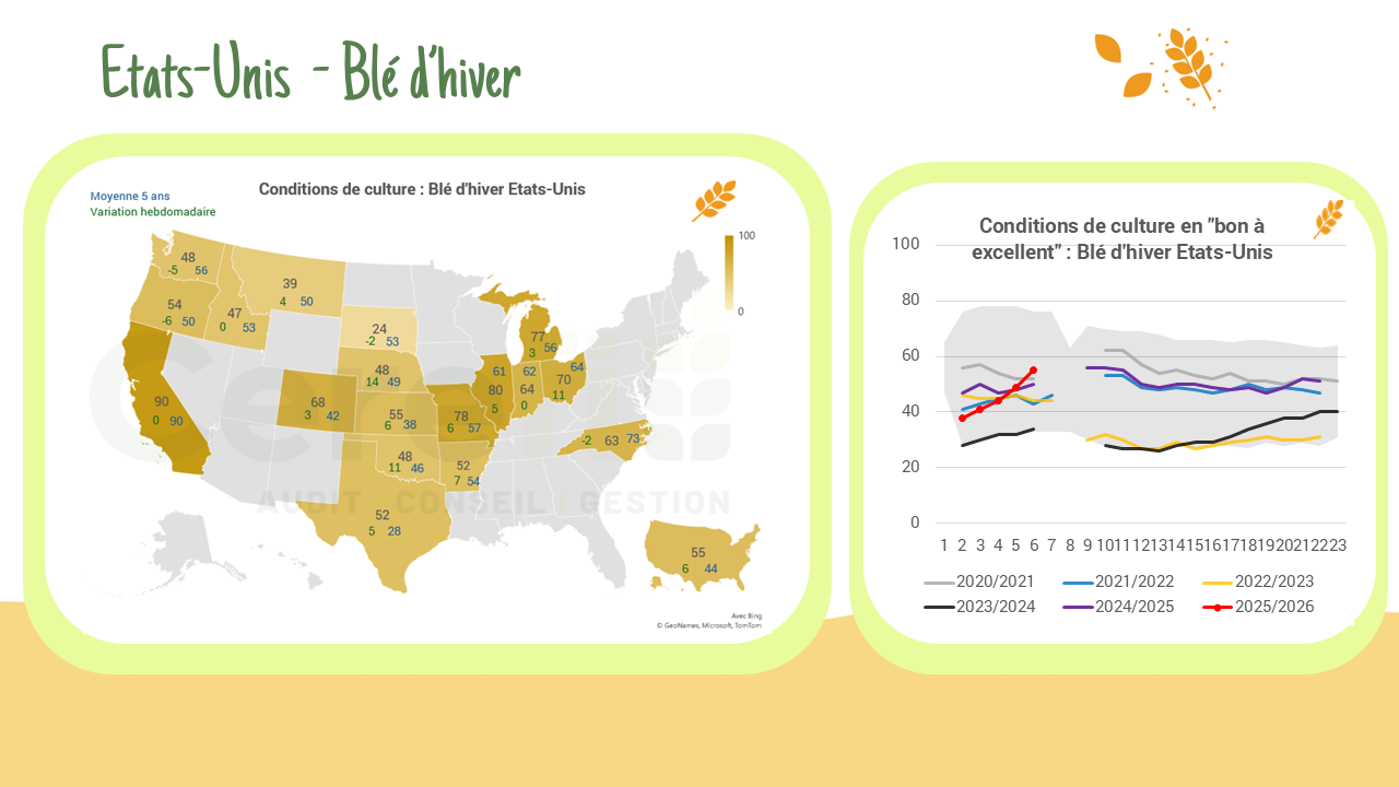 Condition de culture Blé – USA