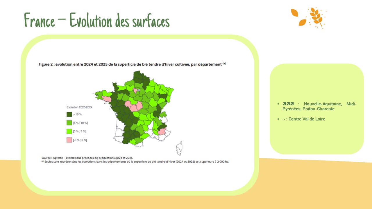 📢Surface française R25