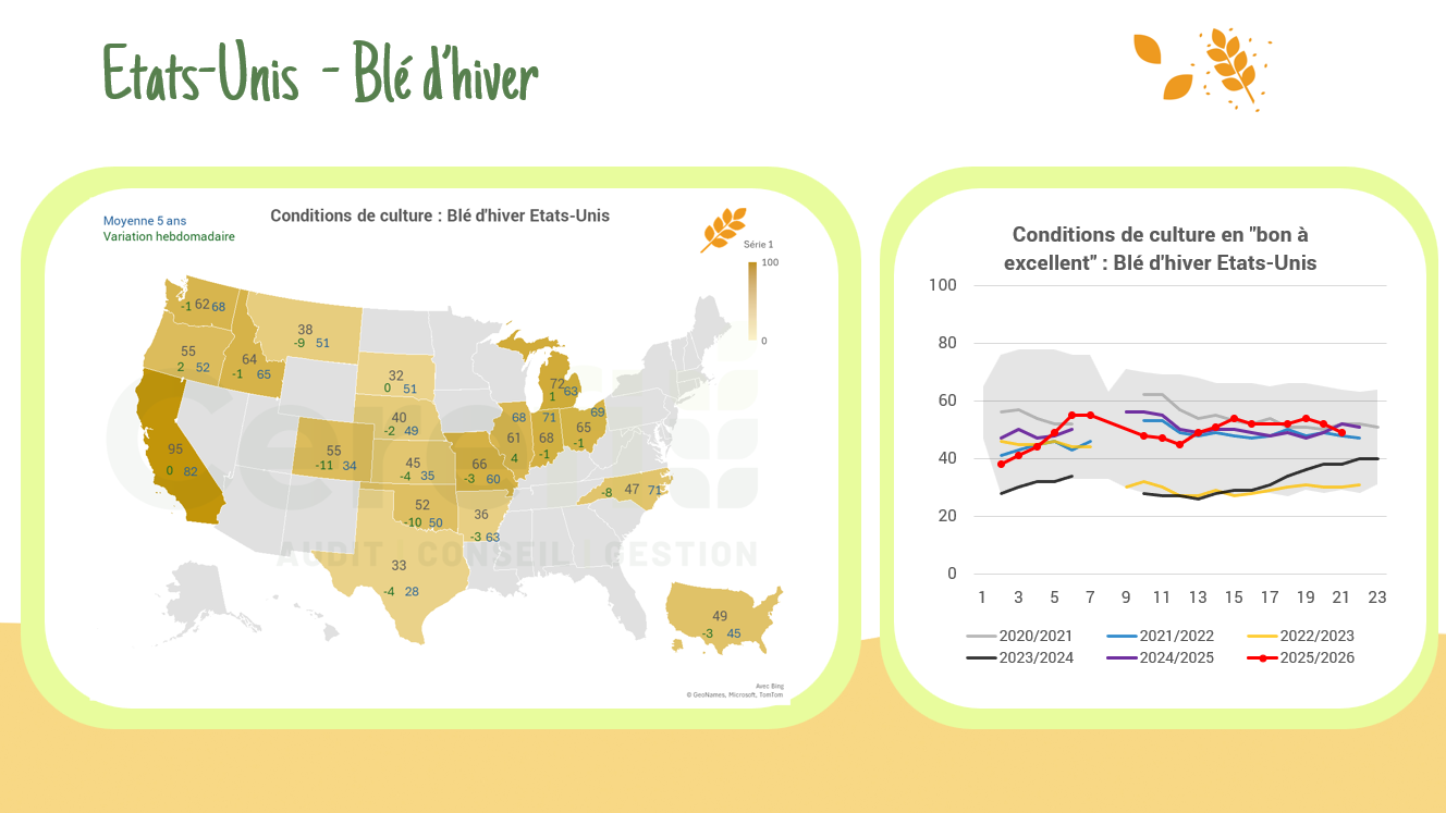 Conditions de culture aux USA