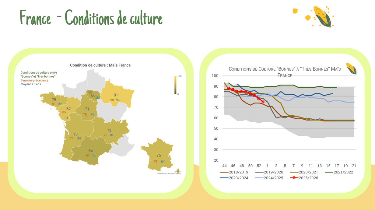 Conditions de culture maïs