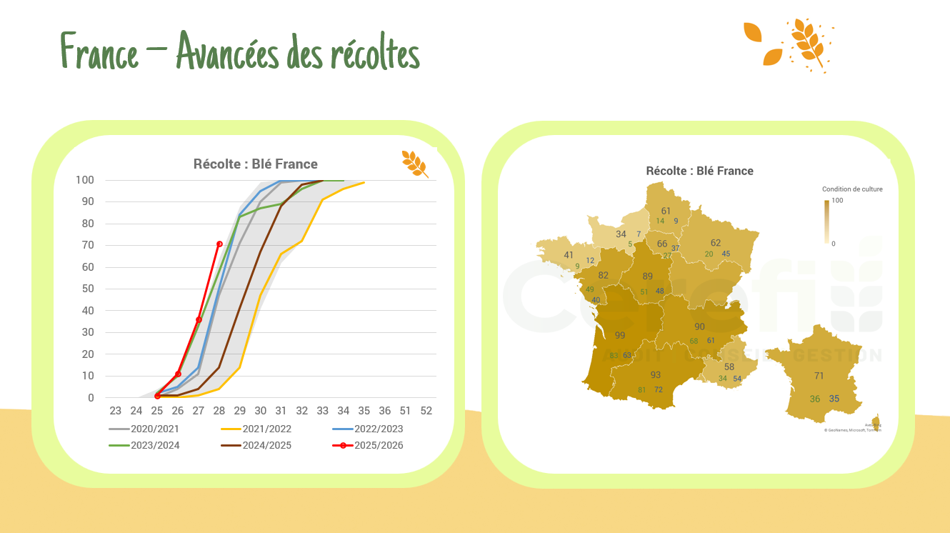 Récolte en France