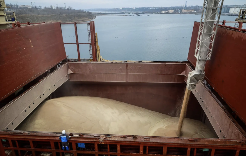 Campagne blé/orge 2025/26 : démarrage contrasté pour les exportations de la mer Noire