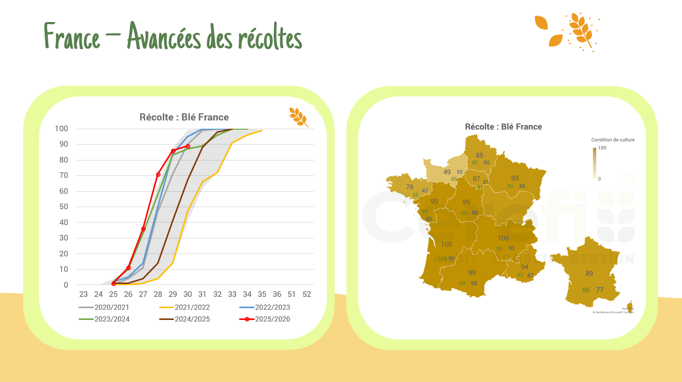 Récolte en France