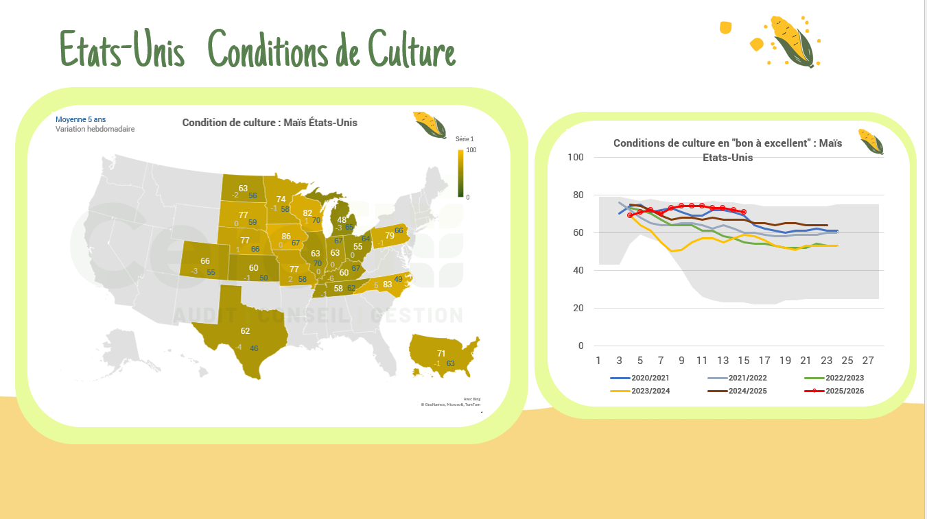 Conditions de culture – USA
