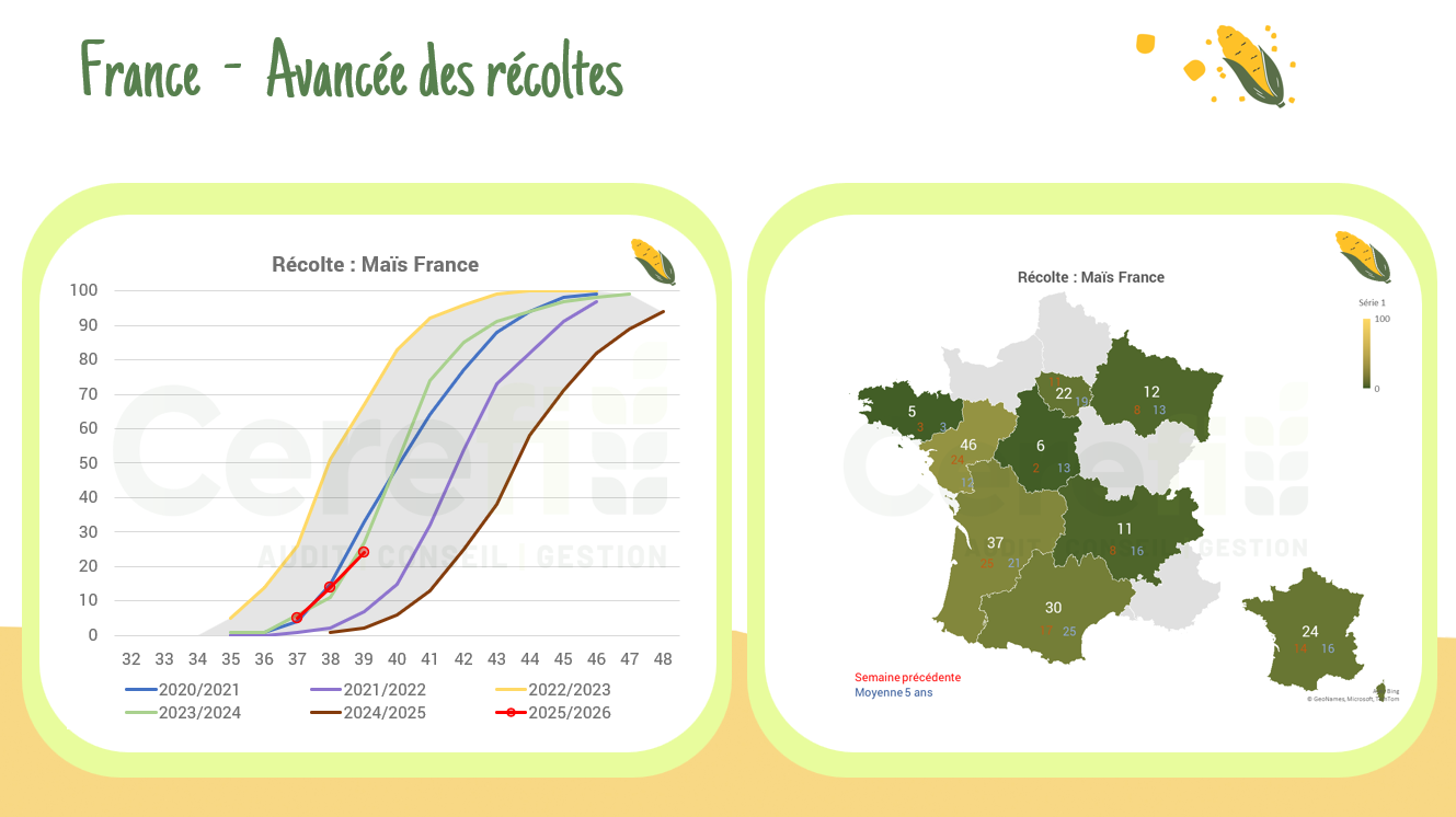 Récolte maïs – France