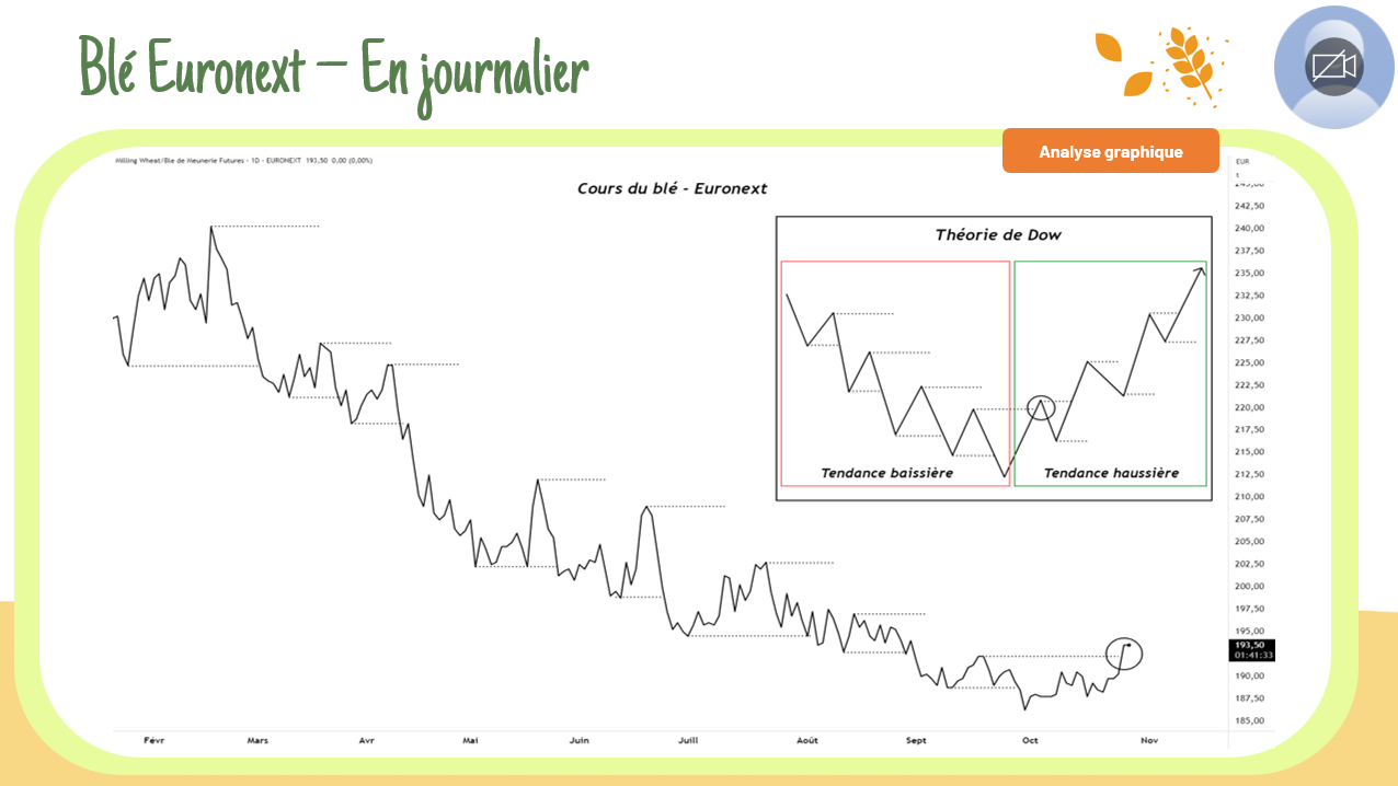 Cours du blé – Euronext