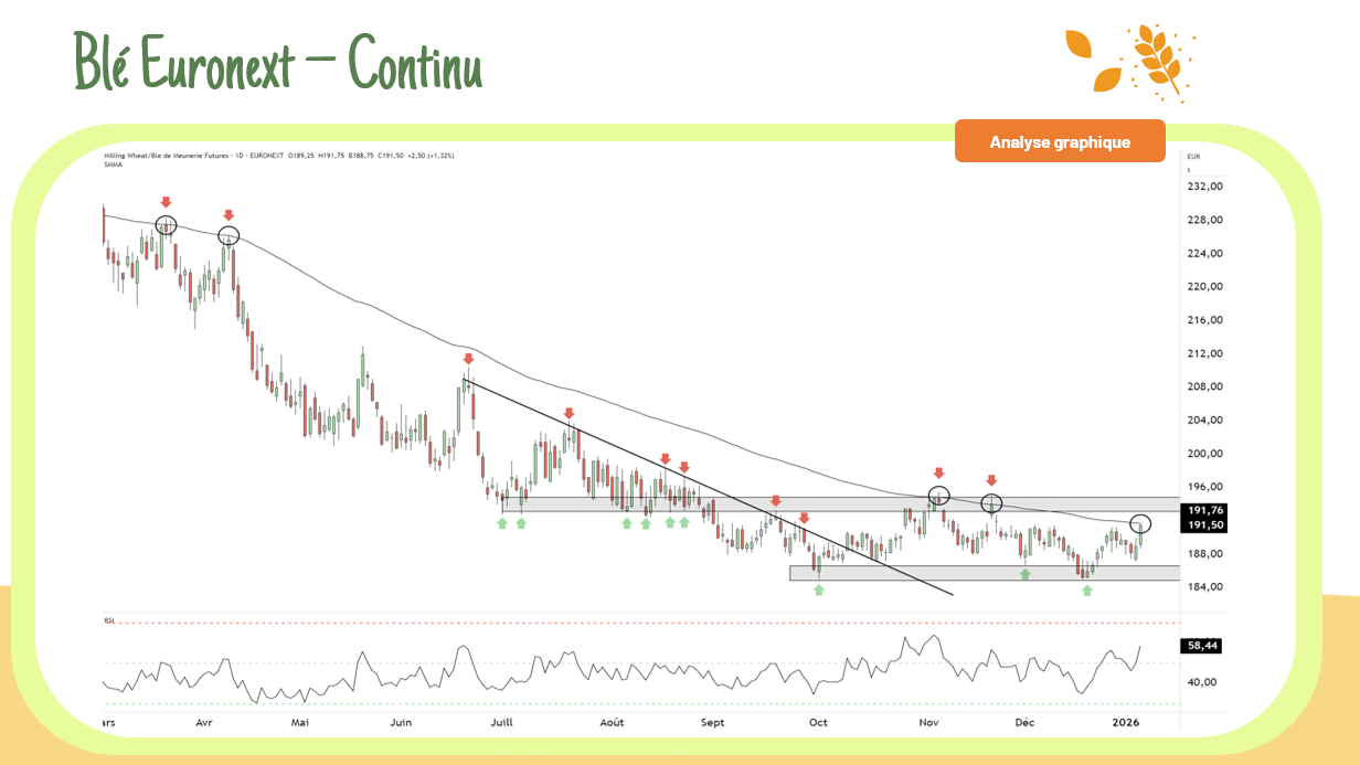 Blé Euronext – Retour sur la MM 50 jours