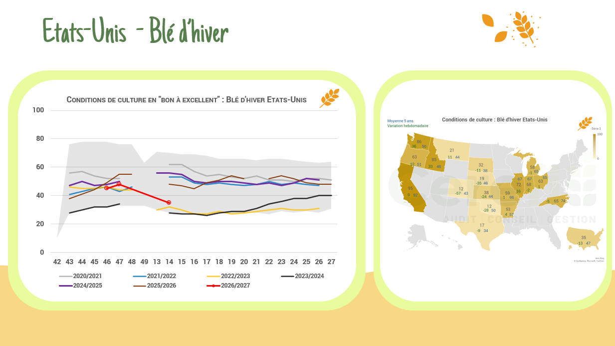 Conditions de culture – USA