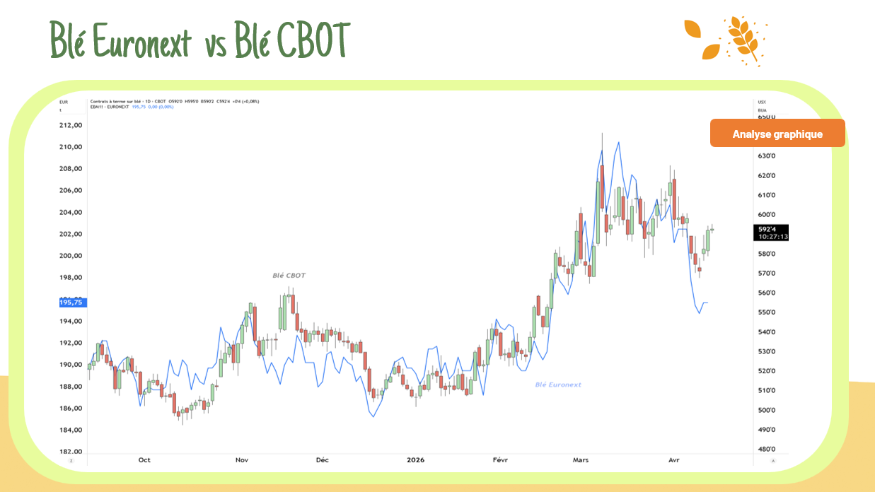 Divergence Blé CBOT vs Euronext