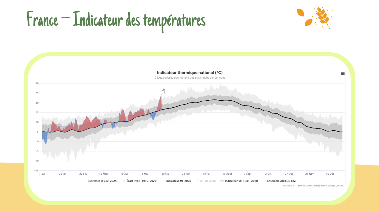 Vague de chaleur en France